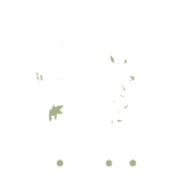 Viridis Jardin Saumur - Entretien Jardin Saumur